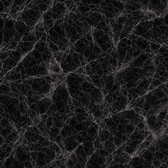 Black Ice